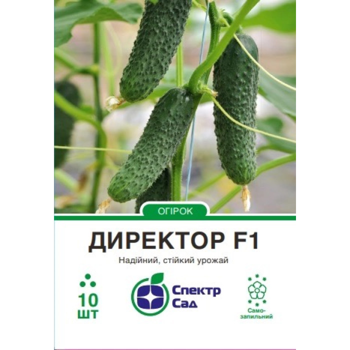 Огірок Директор F1 10 насінин СПЕКТР